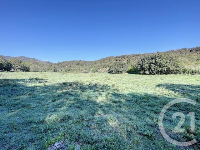 Terrain à vendre - 22147 m2 - Montauriol - 66 - LANGUEDOC-ROUSSILLON